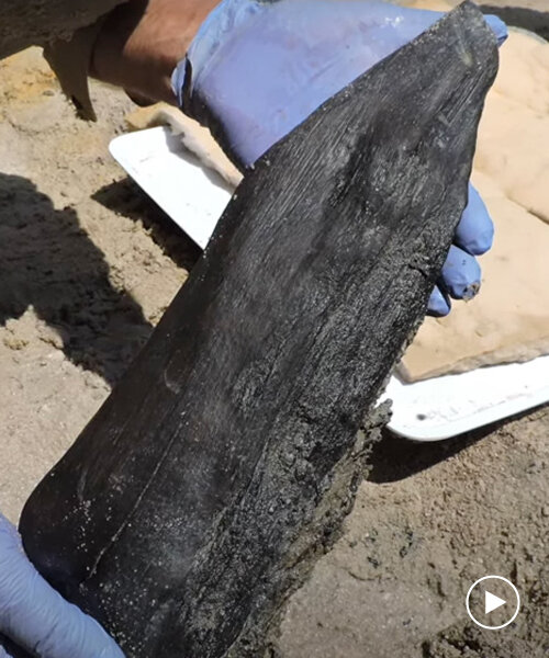 archaeologists discover world’s oldest wood structure in zambia, dating back 476,000 years
