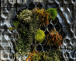 'biomic wall' fuses ceramic 3D printing & ecological design for self-regulating greening facade