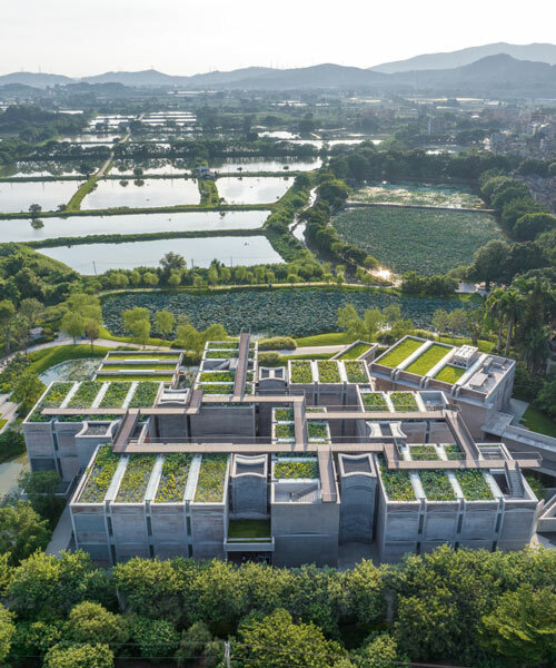 atelier FCJZ tops langtou cultural center with lush lotus garden ponds