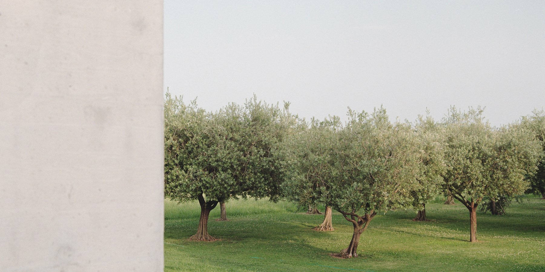 house-nf-didone-comacchio-architects-italy-designboom-1800-3