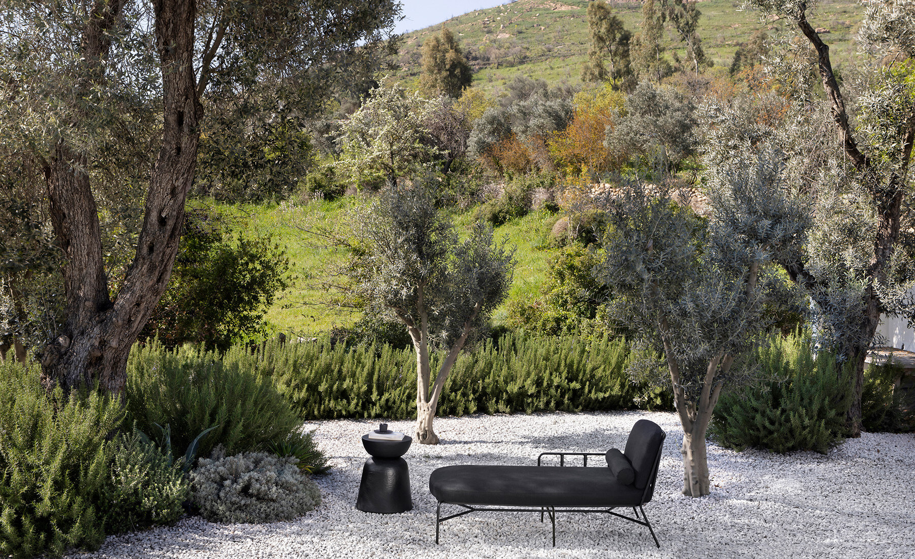 parla-design-palm-designboom-fullwidth