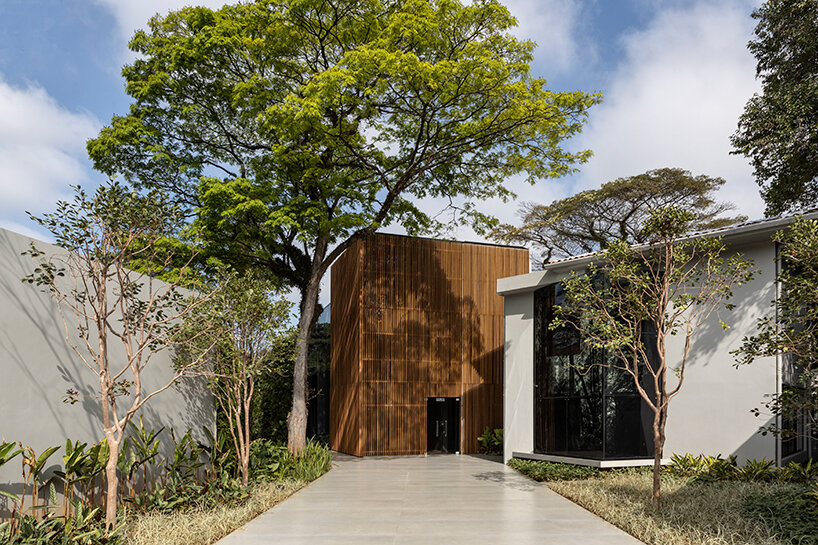 roca's canopy covered são paulo gallery rises as a cultural hub