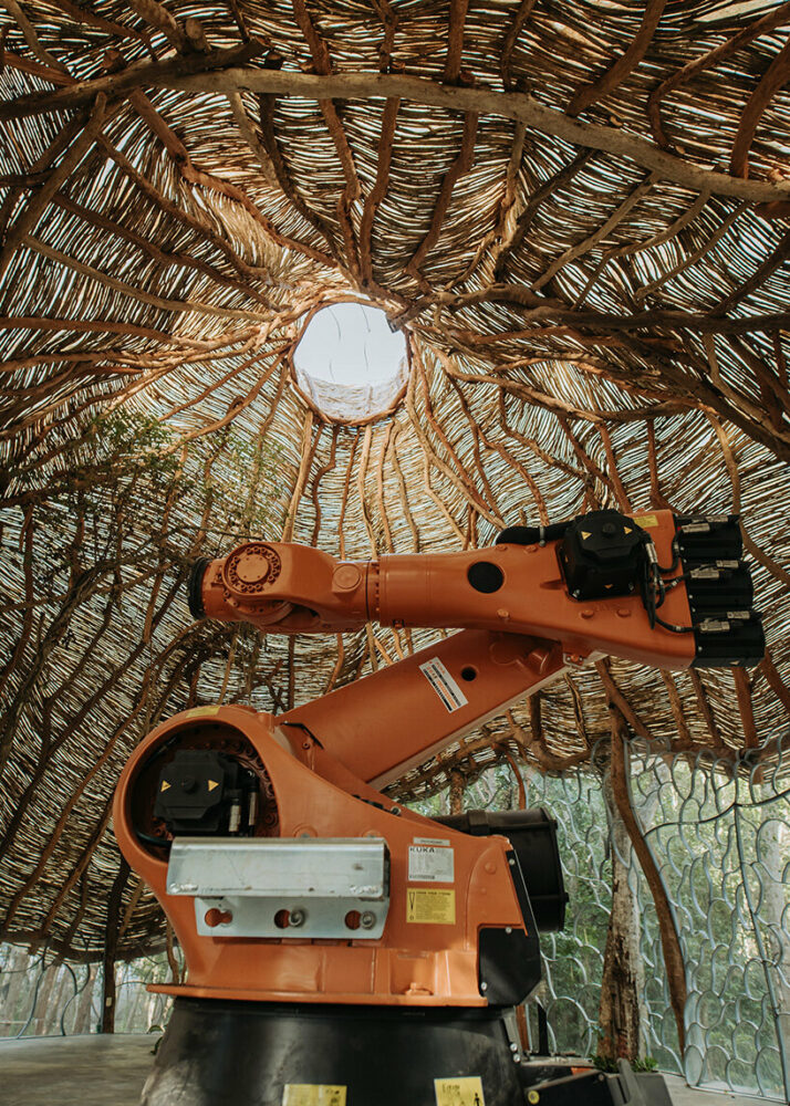 roth architecture brings its innovation & tech lab to mexican jungle