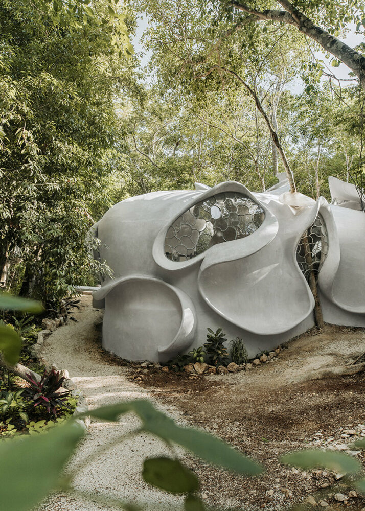 roth architecture brings its innovation & tech lab to mexican jungle