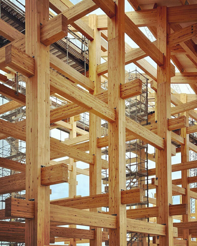 sou fujimoto’s wooden ring roof for expo 2025 osaka is underway