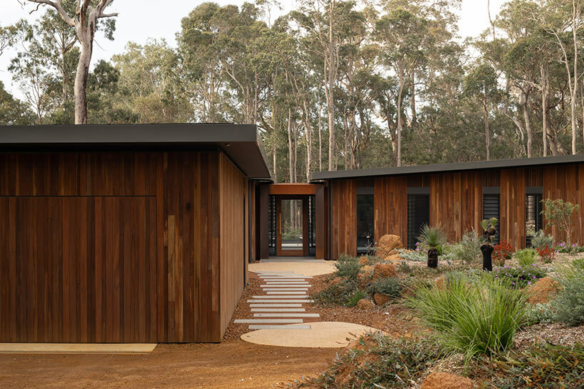 suzanne hunt treehouse