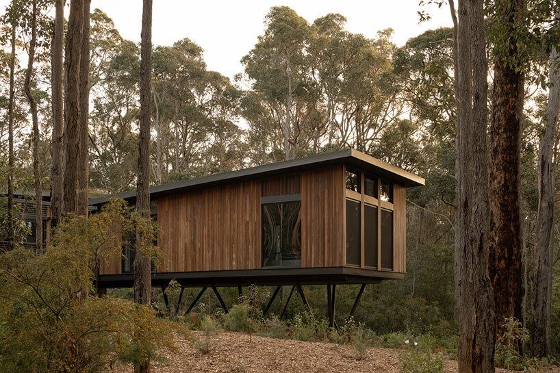 suzanne hunt treehouse