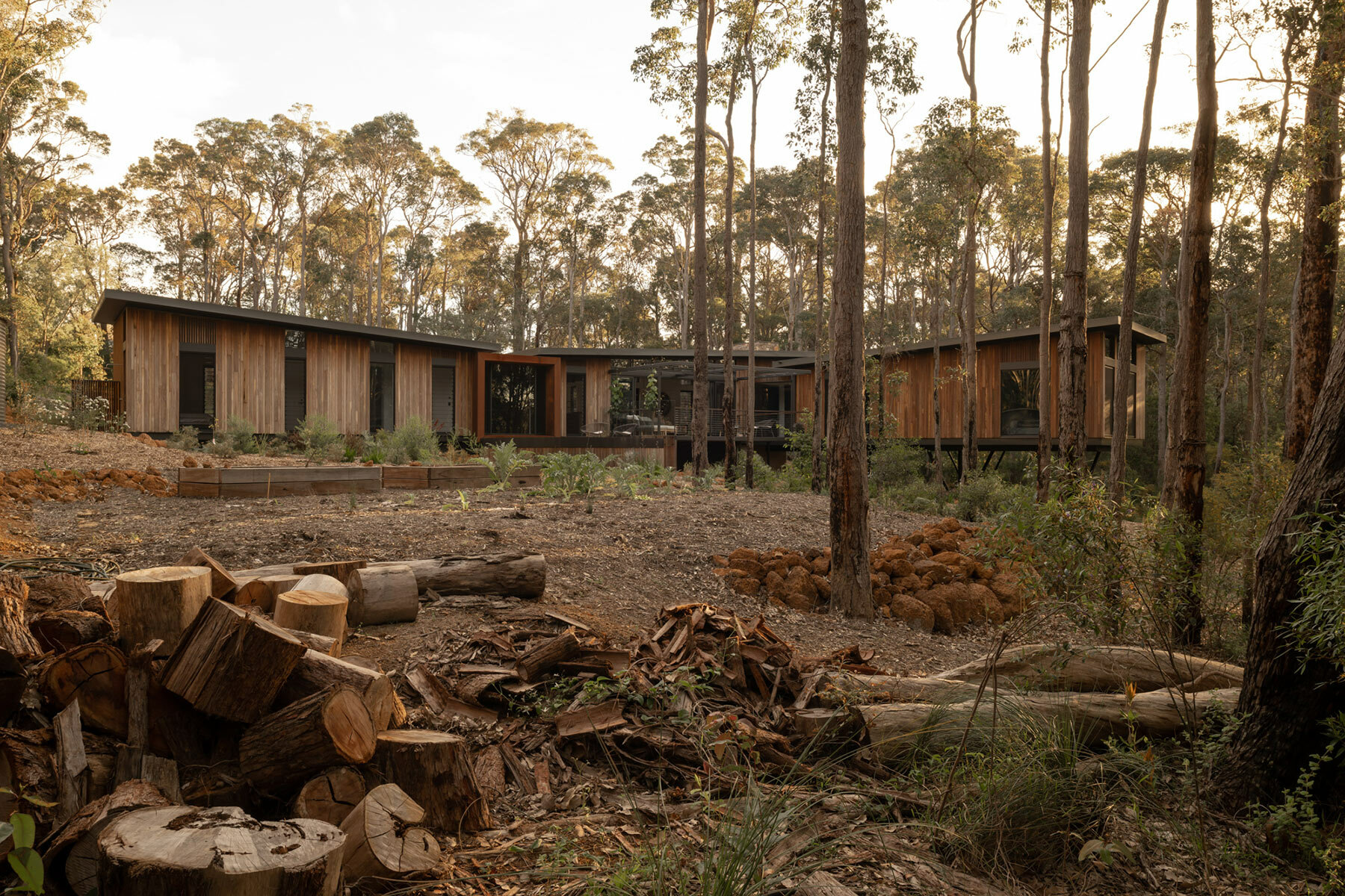 suzanne-hunt-architects-treehouse-australia-designboom-06a
