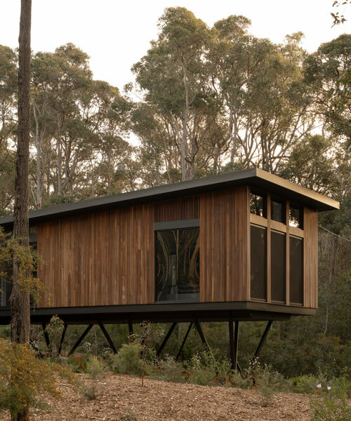 spotted gum-clad 'treehouse' by suzanne hunt floats among australian woods