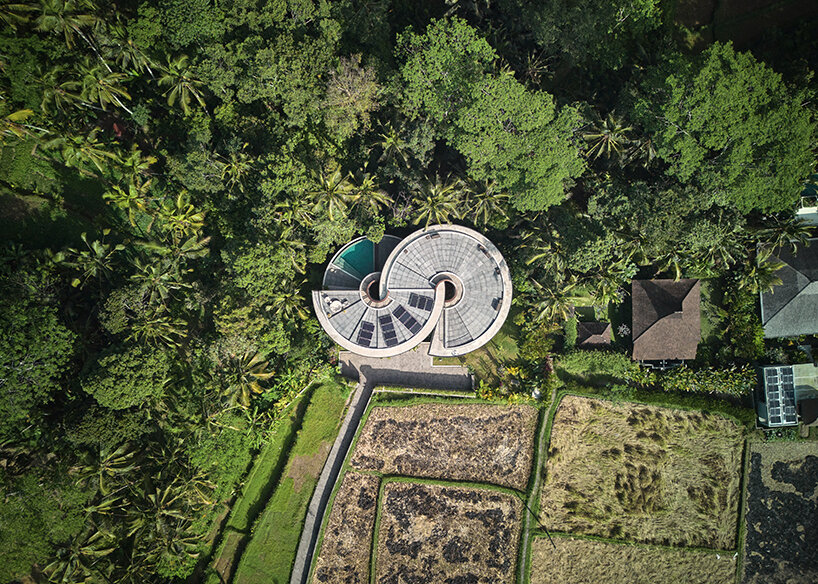 the loop by alexis dornier unfolds as a figure 8 spiral embracing bali's lush jungle