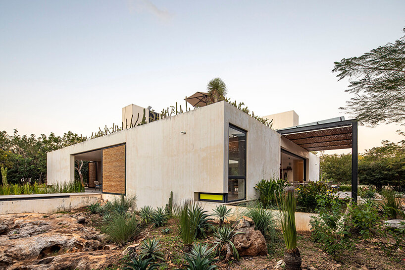 reyes ríos + larraín pairs grass and steel inside mexico's casas de campo retreat