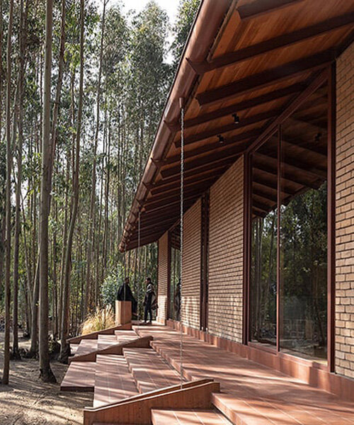 gabriel rivera arquitectos tucks home & stables amid expanse of eucalyptus trees in ecuador