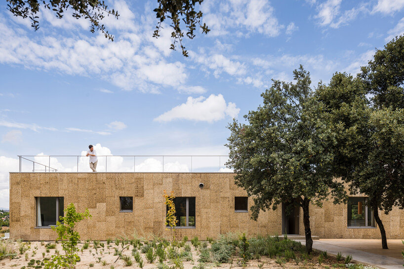 estudio albar envelops casa eñe with cork for net-zero living in madrid