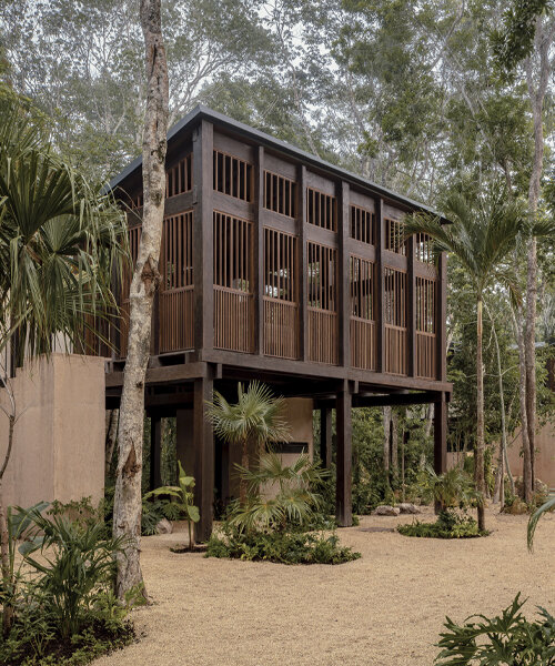 boca de agua hotel by frida escobedo brings floating treehouses to the yucatán jungle