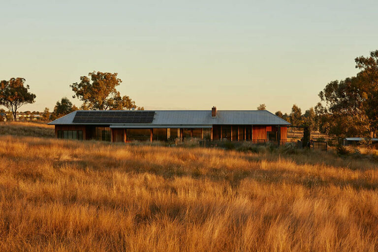 house in the dry: MRTN architects' garden oasis in arid australia