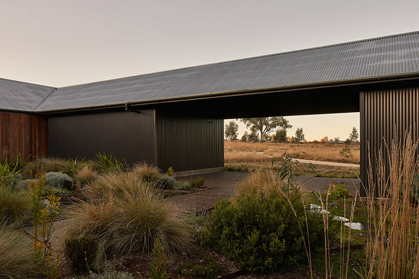 house in the dry: MRTN architects' garden oasis in arid grasslands of australia