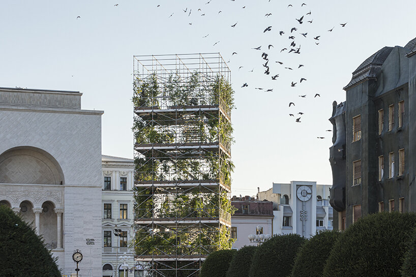 1,306 plants engulf MAIO architects' public nursery pavilion in timisoara, romania