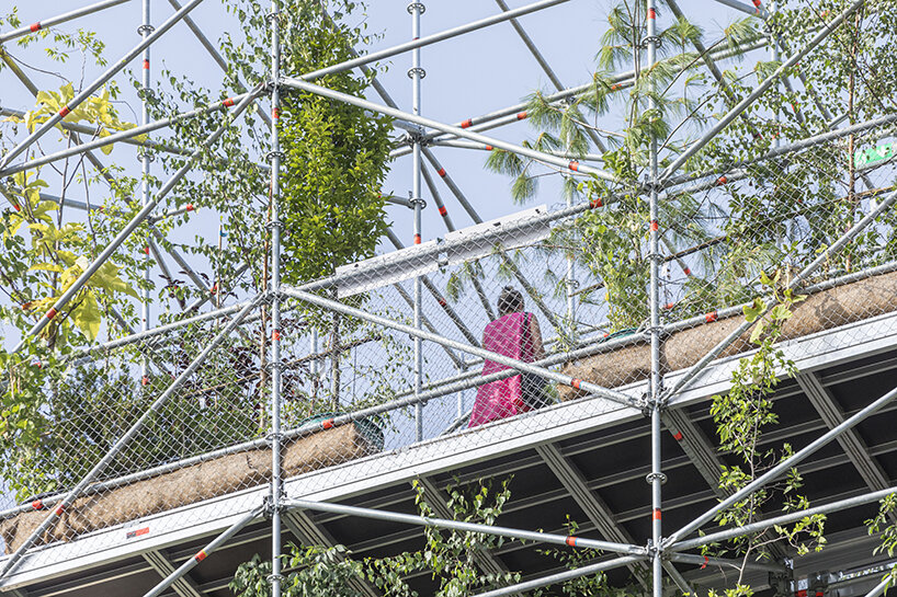 1,306 plants engulf MAIO architects' public nursery pavilion in timisoara, romania