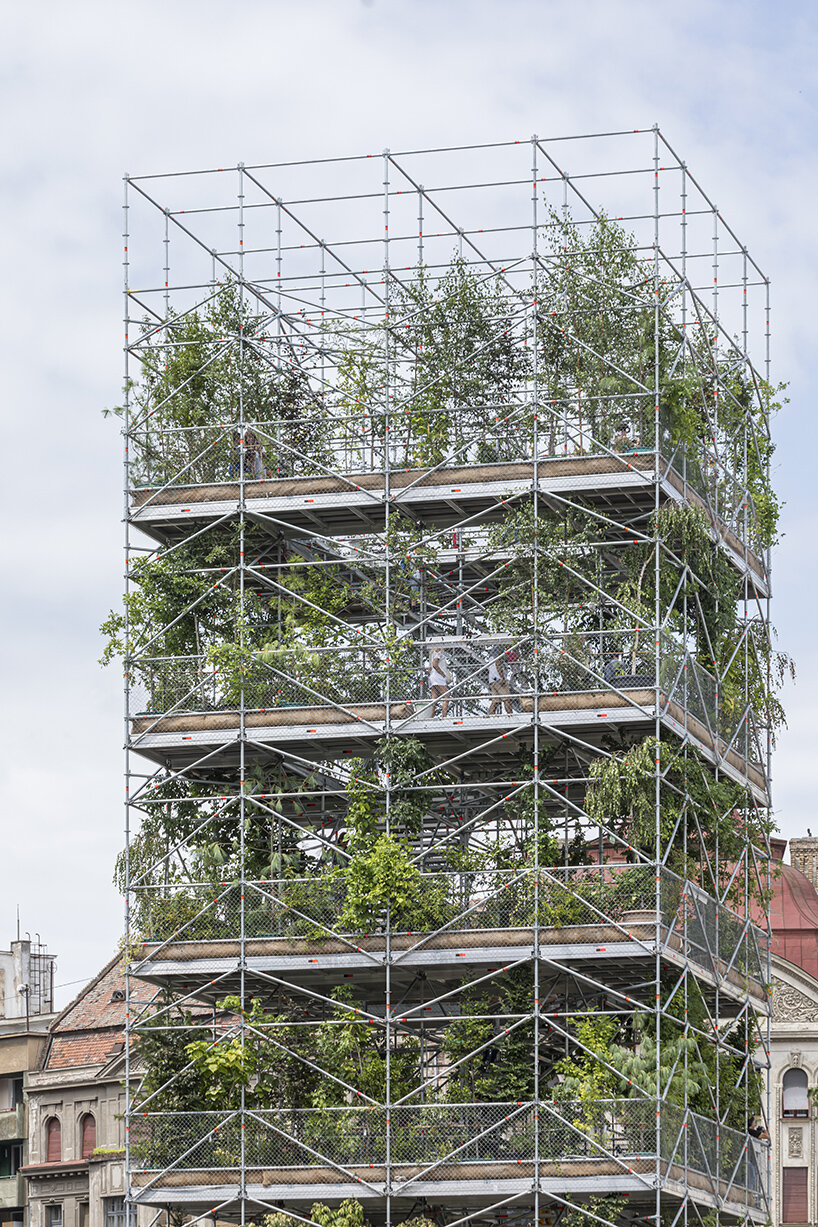 1,306 plants engulf MAIO architects' public nursery pavilion in timisoara, romania