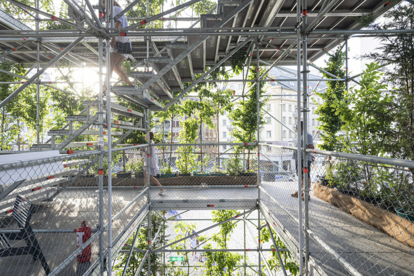 1,306 plants engulf MAIO architects' public nursery pavilion in timisoara, romania
