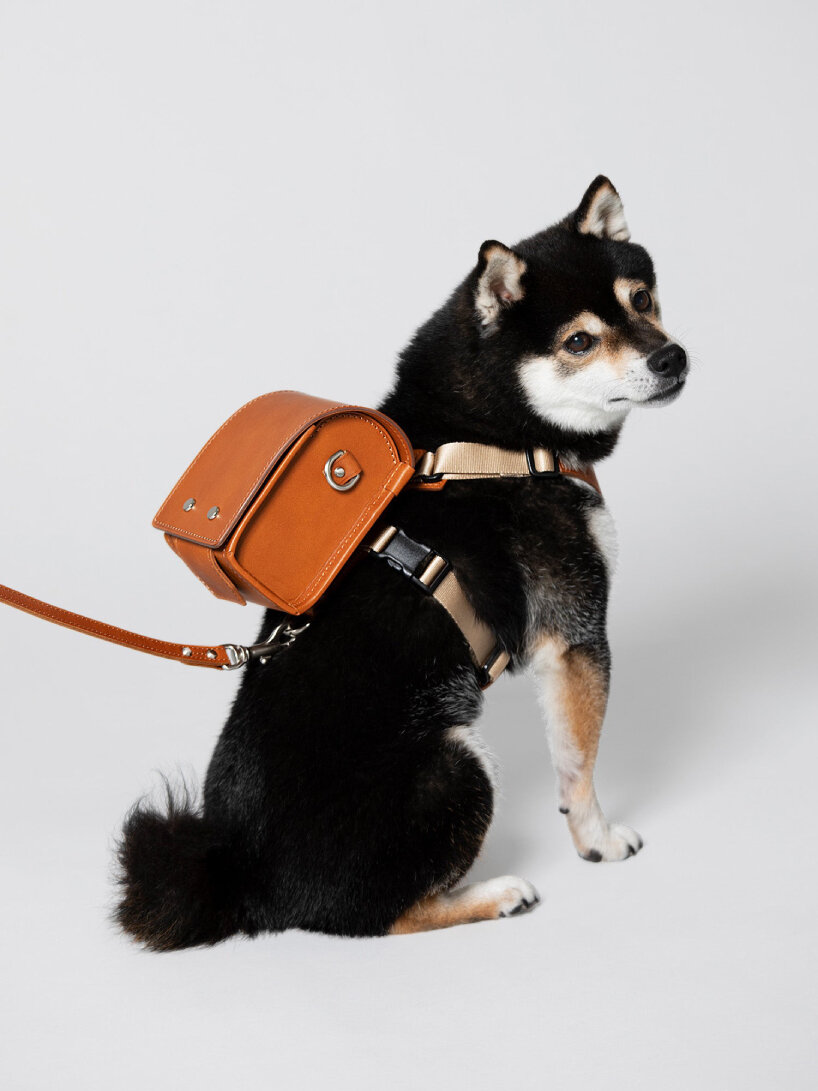 Gucci bag cheap with dog design