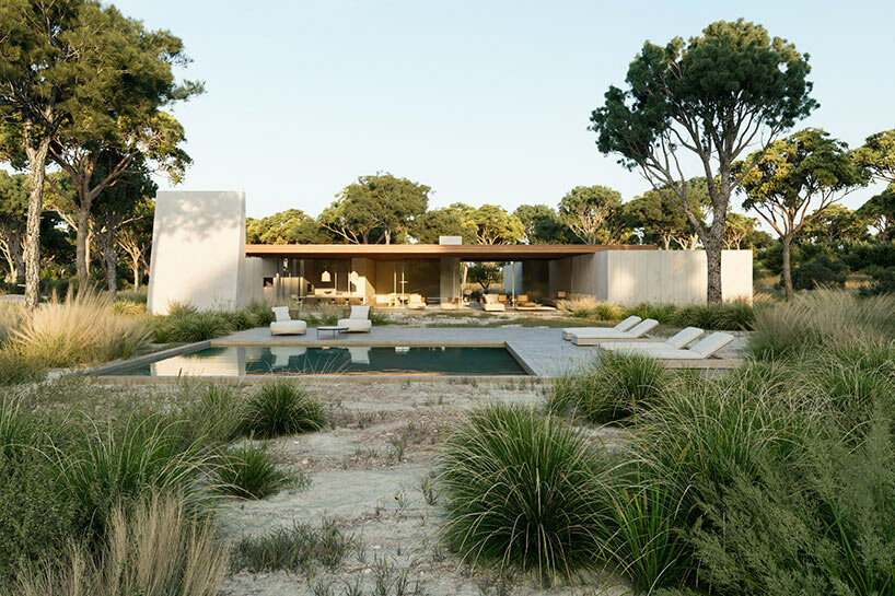 vasco lima mayer muda