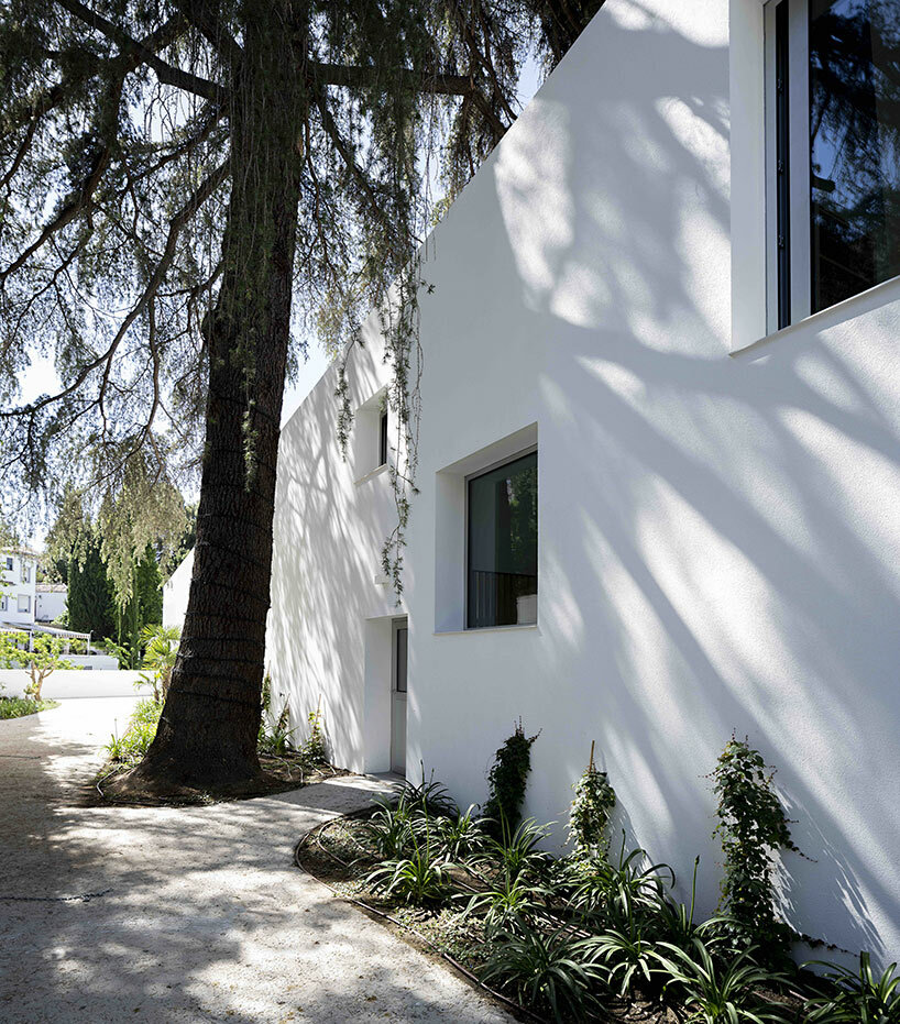 casa realejo: architect rubens cortés' modern take on the spanish patio house
