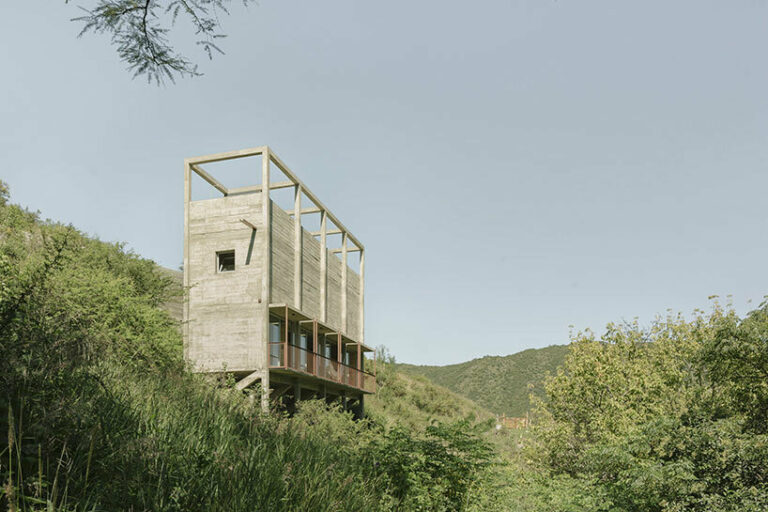 agustín berzero's 'casa taller' rises from the treetops of la paisanita