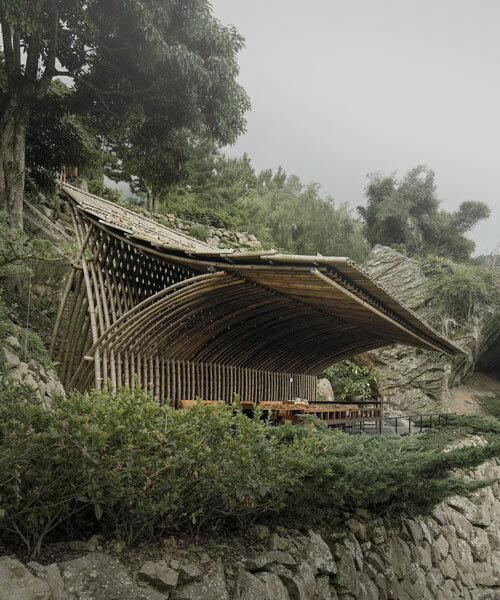 a bamboo canopy shelters teahouse in taiwan by behet bondzio lin architekten