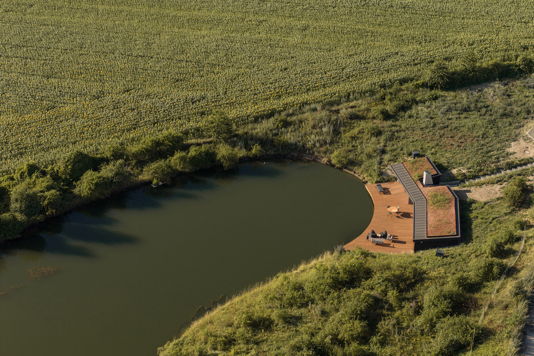 clt-house-hello-wood-designboom-full-15