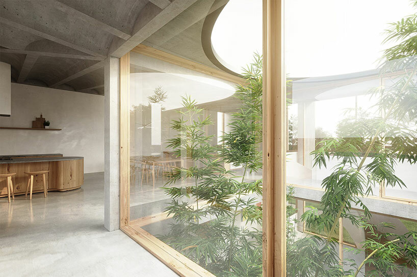 desai chia envisions this sculptural 'sayavedra house' for art collectors in mexico