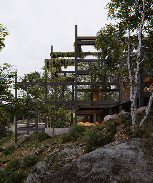 perched above valdosende's treetops, this eco resort brings nature indoors