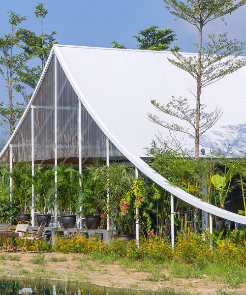 nguyen khac phuoc architects crowns its ká coffee in vietnam with a sweeping white canopy