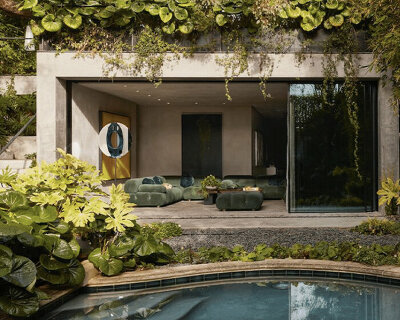 using deep earthy tones, kallos turin breathes new life into a 1920s san francisco home