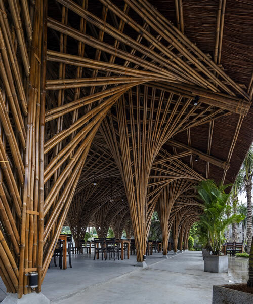 bambubuild sculpts complex geometries with bamboo and thatch in vietnam