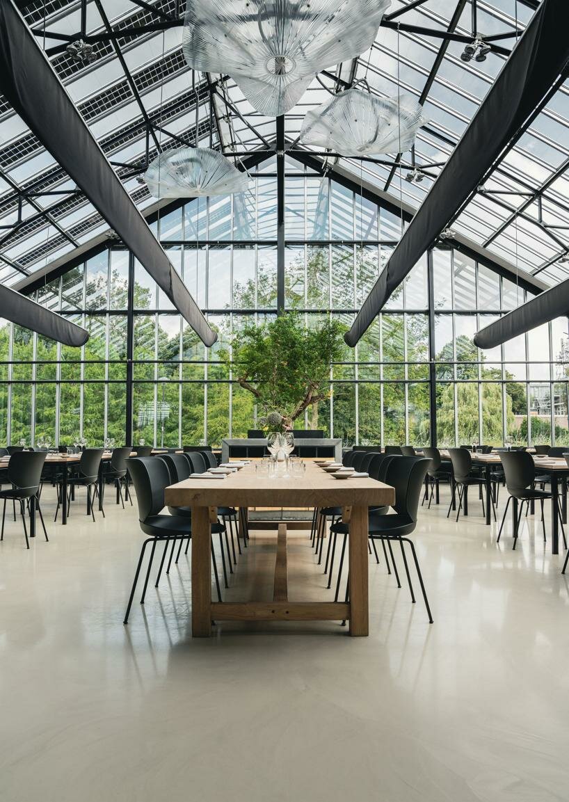 moooi’s hana chair by simone bonanni blooms with customizable shell and colors