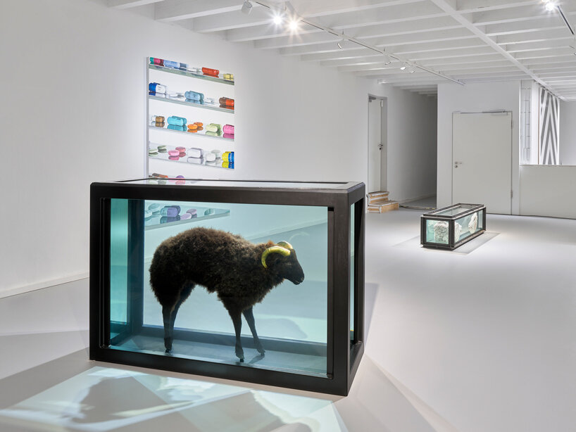 damien hirst's 'the weight of things' explores the interplay of science, life & death at MUCA