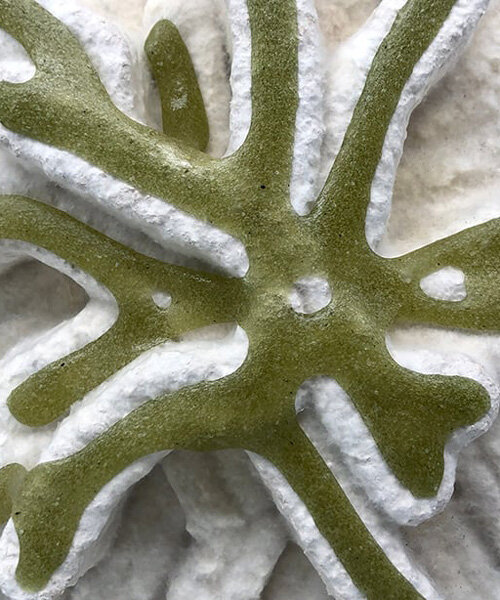 bioMATTERS crafts tiling system by 3D printing mycelium, algae, and organic waste