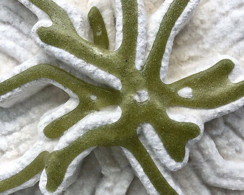 algae architecture, design, and technology news and projects