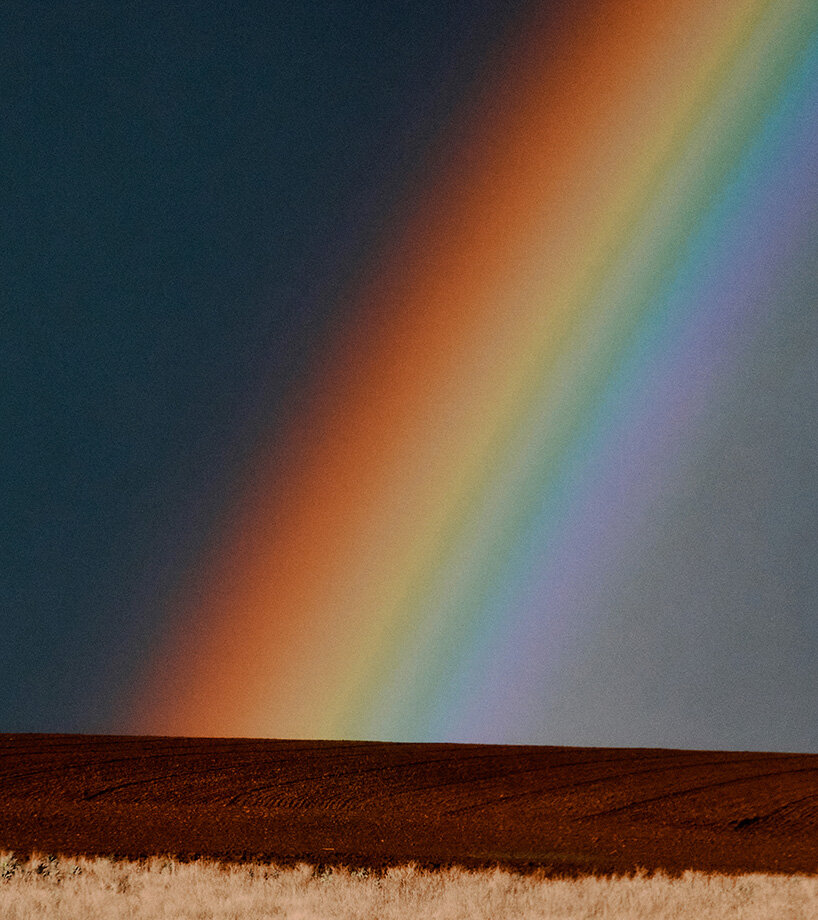 cindy sherman, yorgos lanthimos and more artists donate pictures for palestine fundraiser