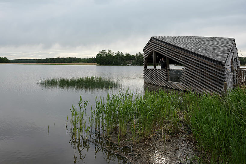 studio puisto designs floating timber hut for birdwatchers in finland