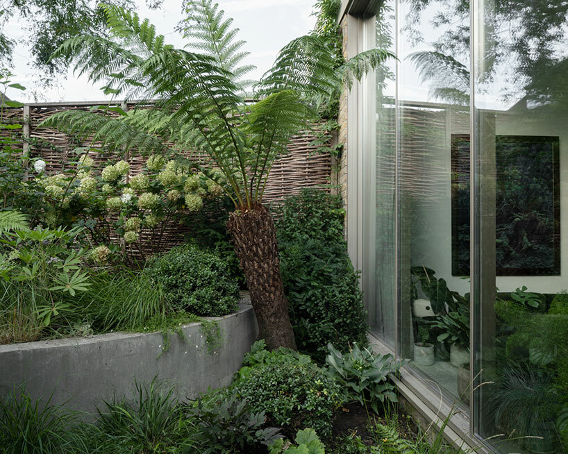 chelsea brut pricegore