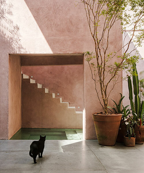 brazilian studio entre escalas builds a tiny pink swimming house for 'casa vila mariana'