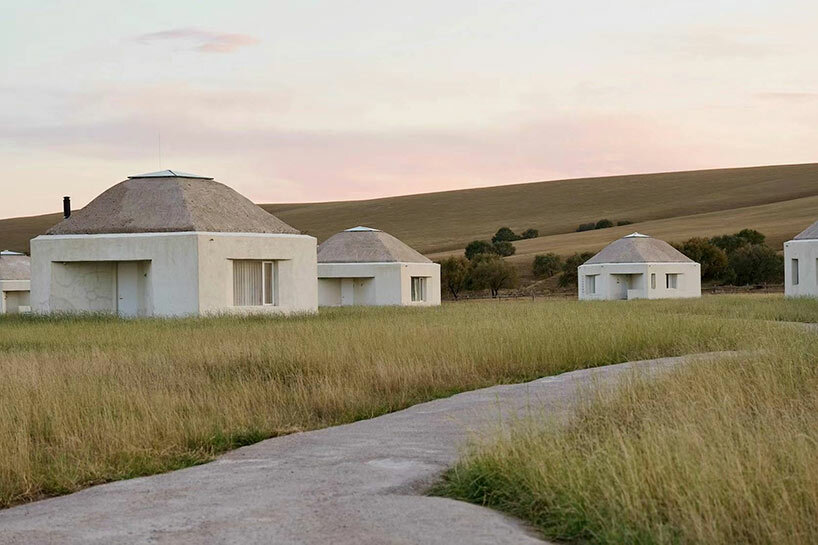 studio qi straybirds suji