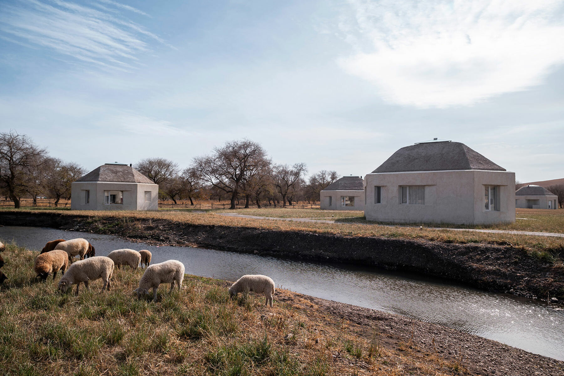 straybirds-suji-prairie-studio-qi-designboom-06a