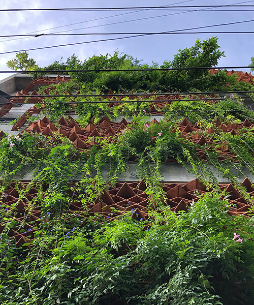 terracotta tile screens clothe residential facade in india with a green curtain