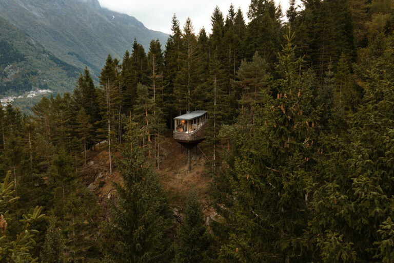 new woodnest treehouses suspended among the norwegian woods