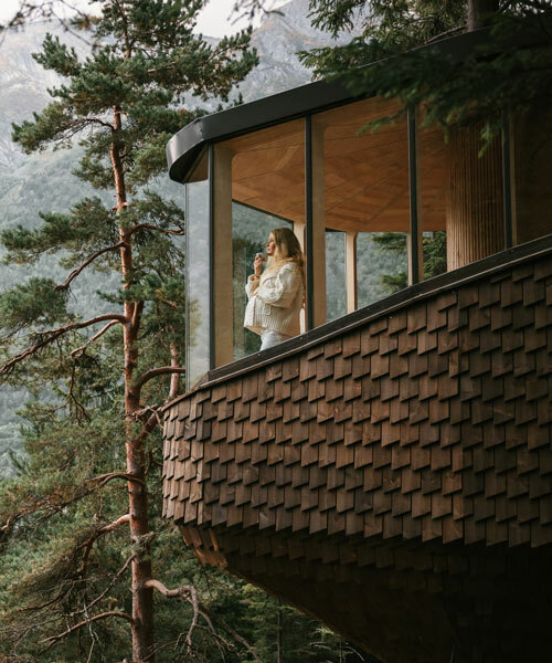 new woodnest treehouses are suspended among pine forests of odda, norway