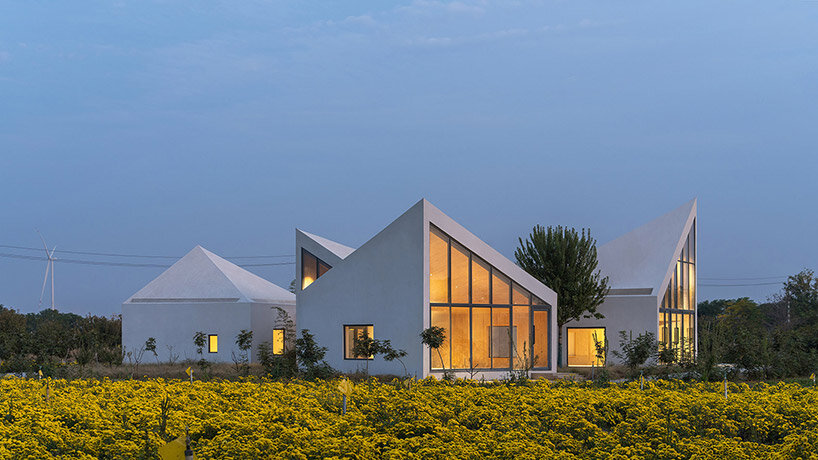 rural library by atelier xi is a cluster of angular blocks in a flower field