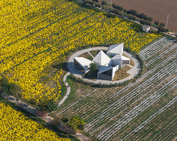 rural library by atelier xi is a cluster of angular blocks in a flower field